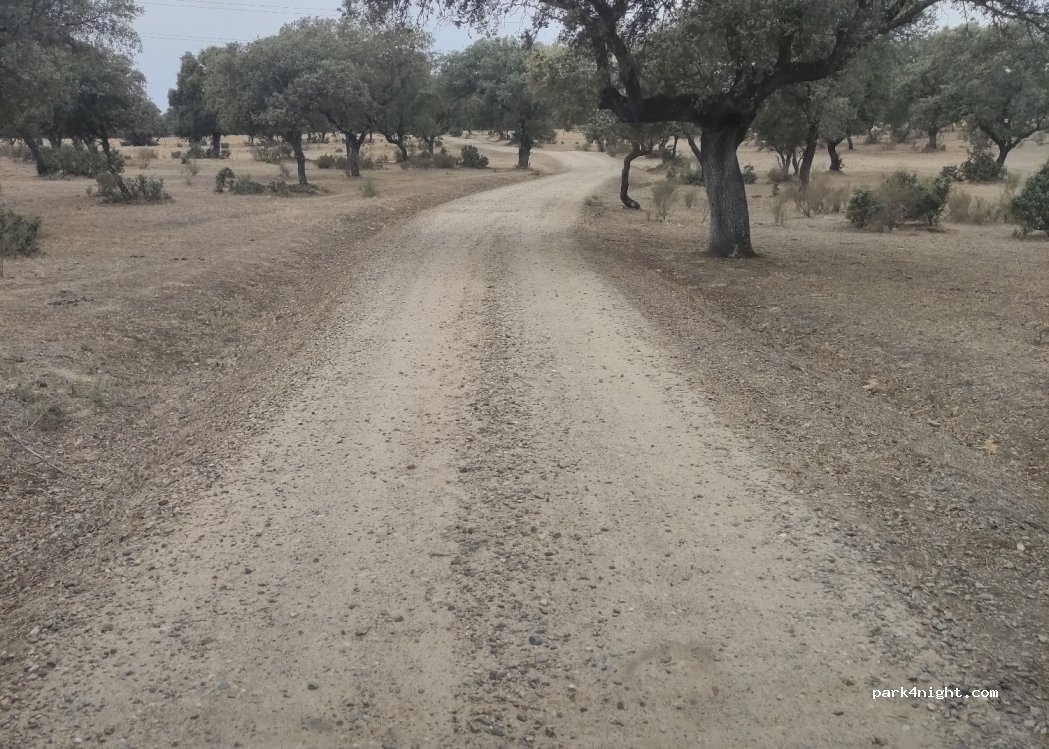 (10520) Casatejada - — foto 4