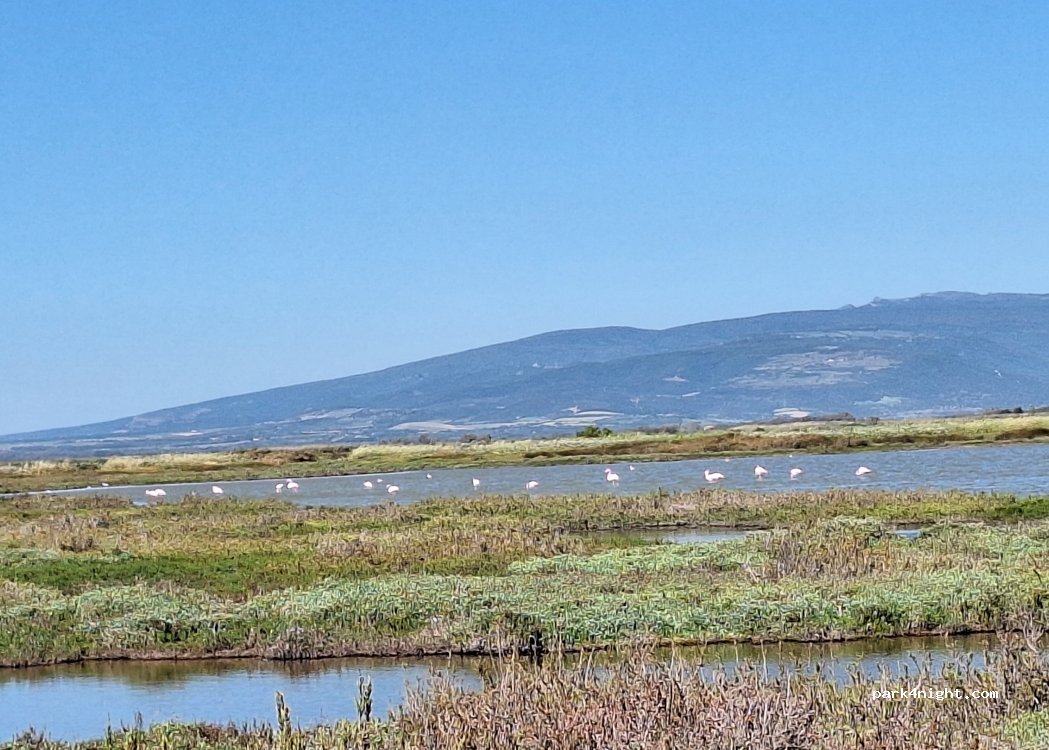 (09072) Cabras - Unnamed Road — foto