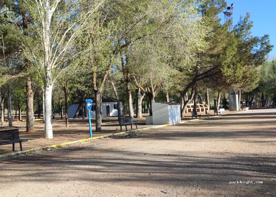 (13329) Carrizosa - — foto 2