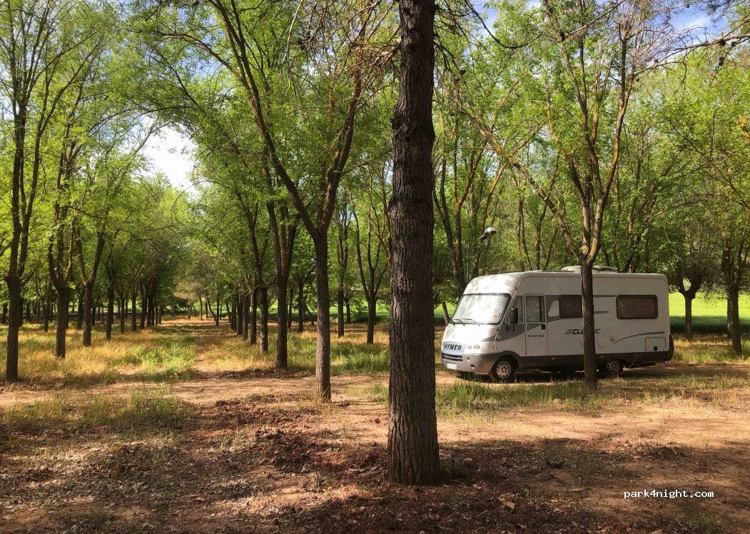 (13329) Carrizosa - — foto 3