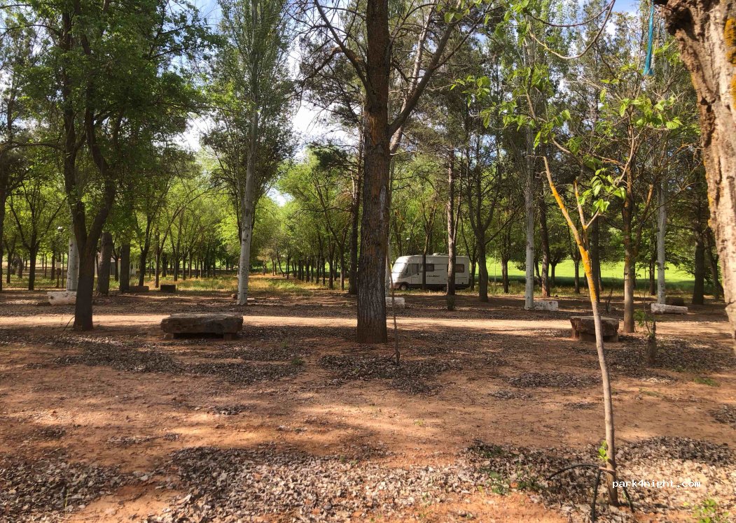 (13329) Carrizosa - — foto 4