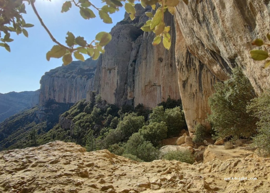 (43361) La Morera de Montsant - Camí dels Cartoixans — foto 2