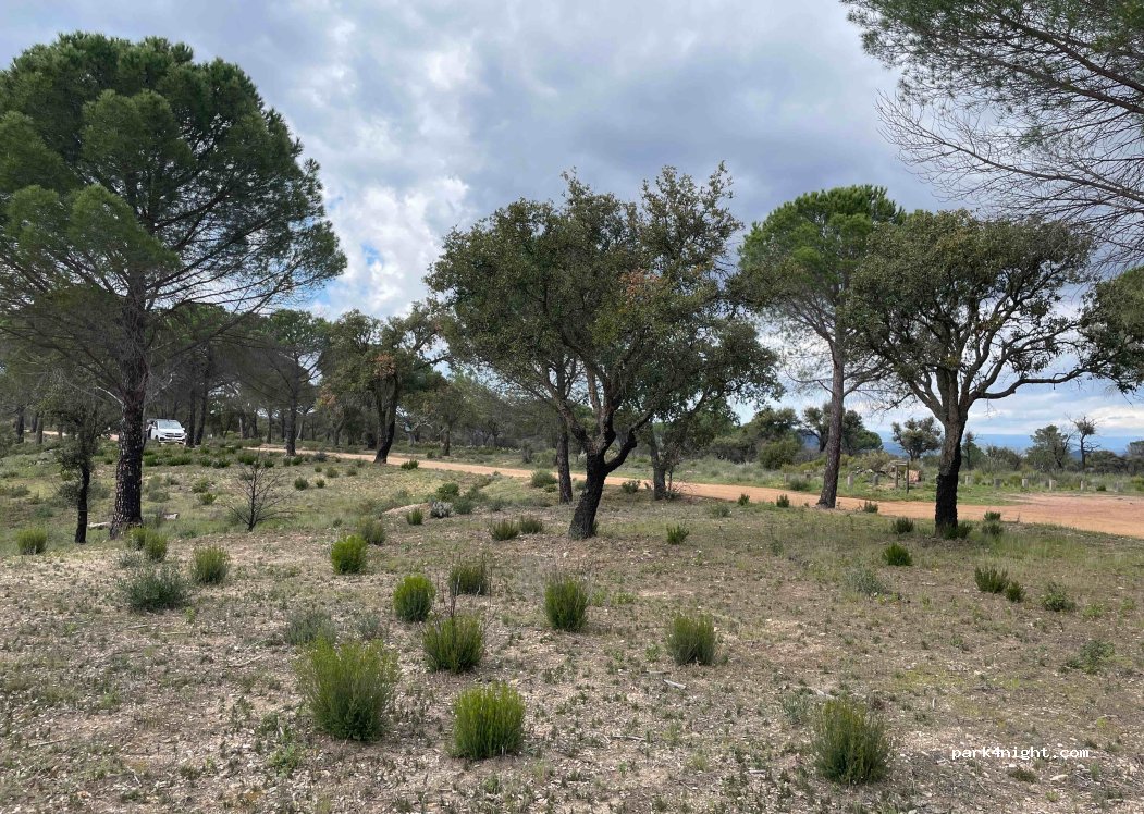 (83340) Le Cannet-des-Maures - Piste de la Tire — foto 2