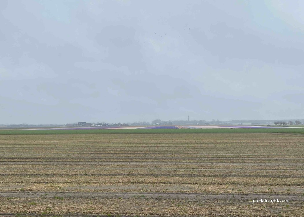 (2204 AV) Noordwijk - 70 Duinweg — foto 3