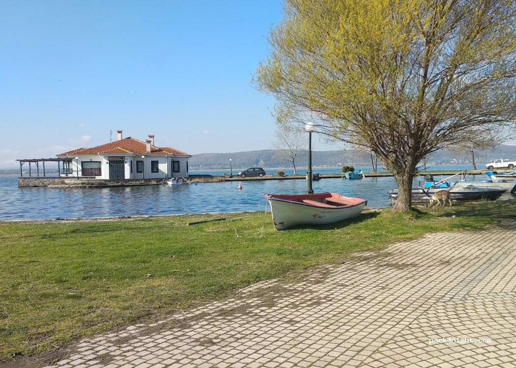 (520 56) Mavrochori - Unnamed Road — foto 4