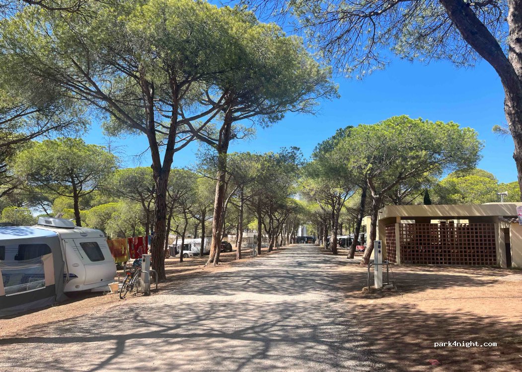 Camping La Tama — foto 2