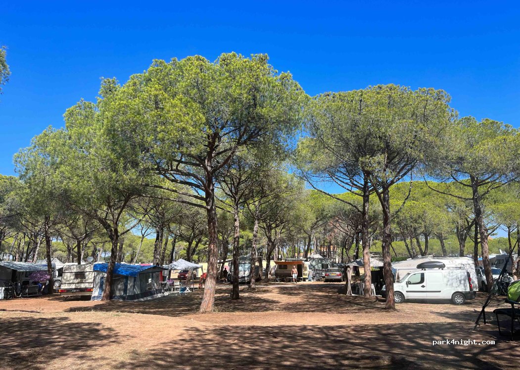 Camping La Tama — foto 3