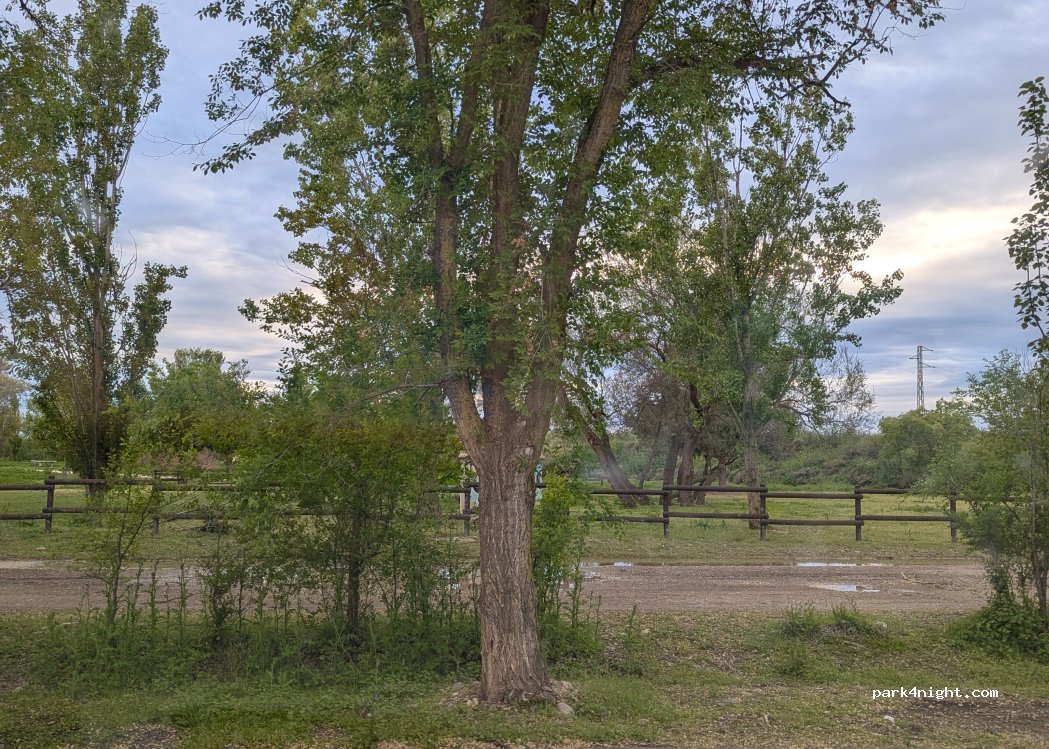 (50820) San Juan de Mozarrifar - Unnamed Road — foto 5