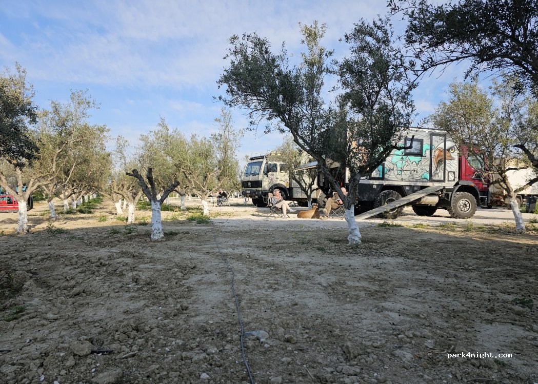 Camperstop Olivetree — foto 3