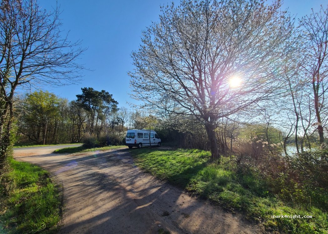 (36290) Mézières-en-Brenne - — foto