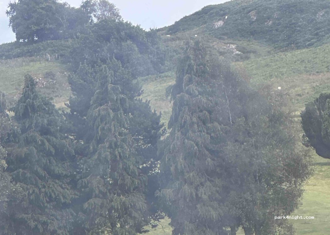 (SY20 8EG) Machynlleth - Forge Road — foto 4
