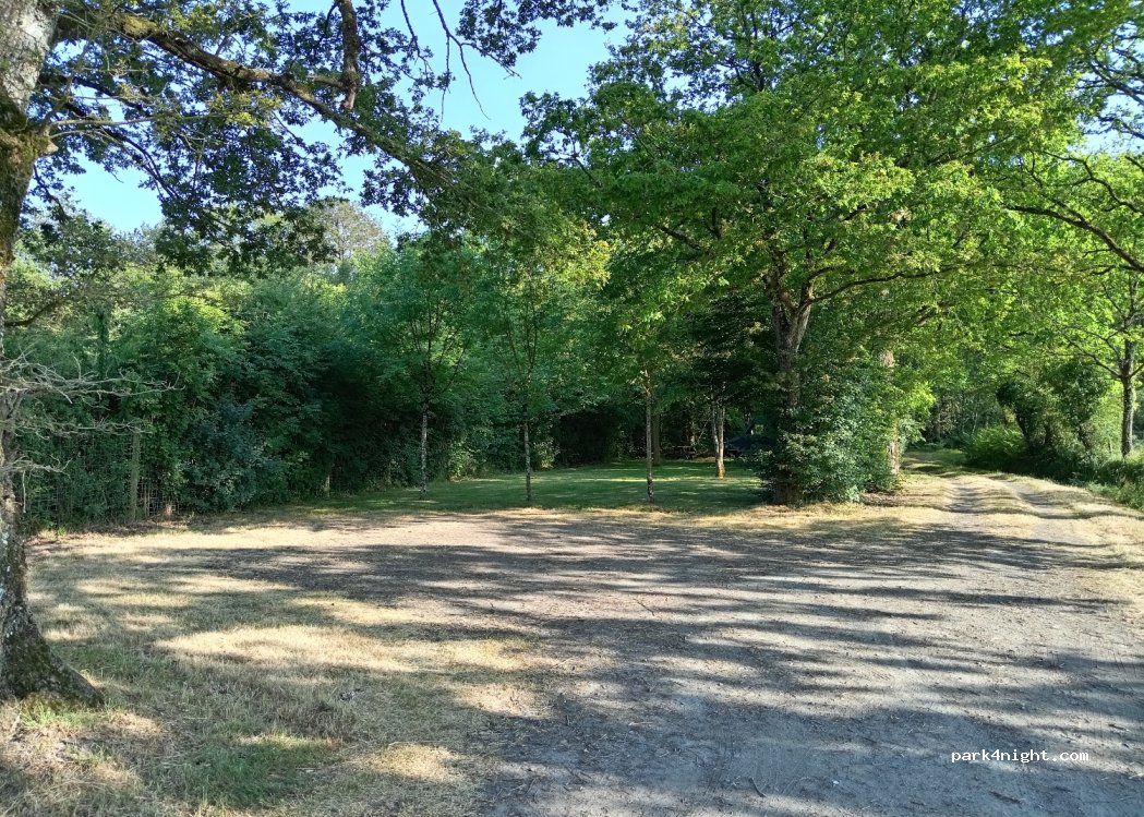(44110) Louisfert - La Forêt — foto