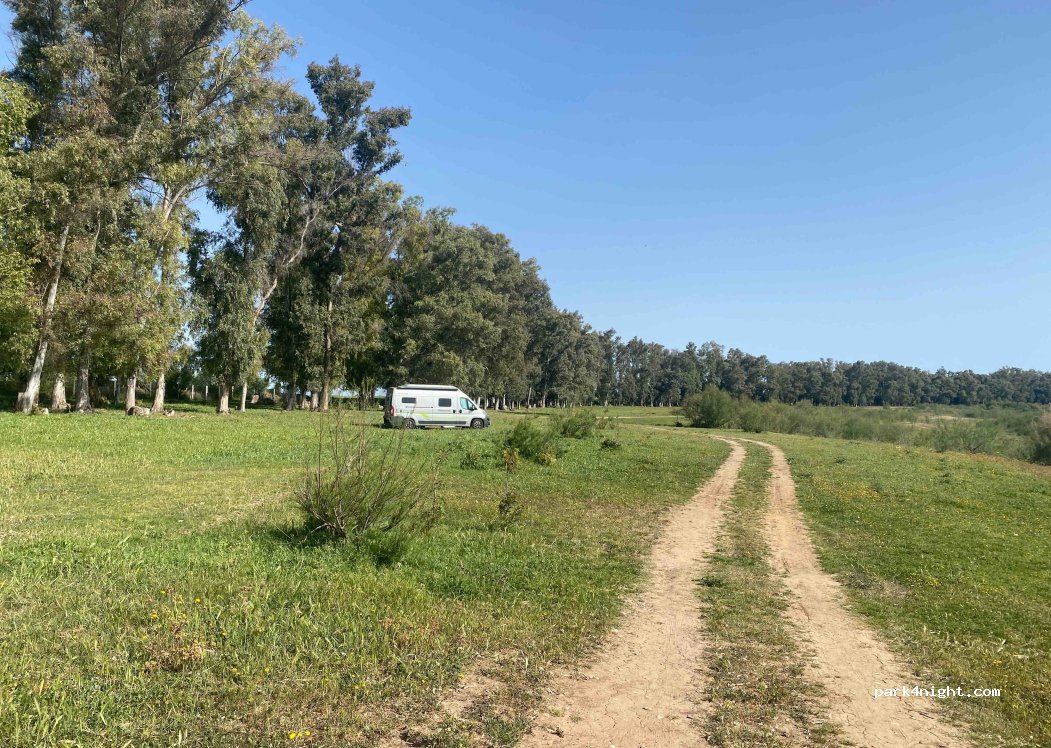 (11649) Coto de Bornos - Unnamed road — foto