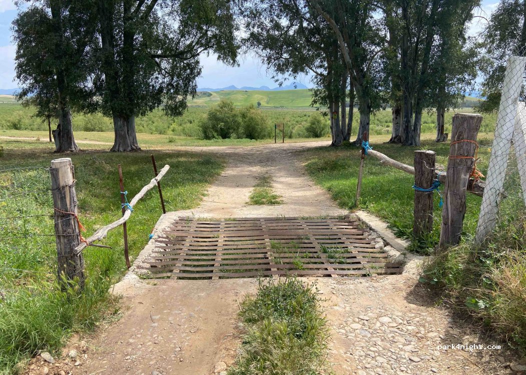 (11649) Coto de Bornos - Unnamed road — foto 2