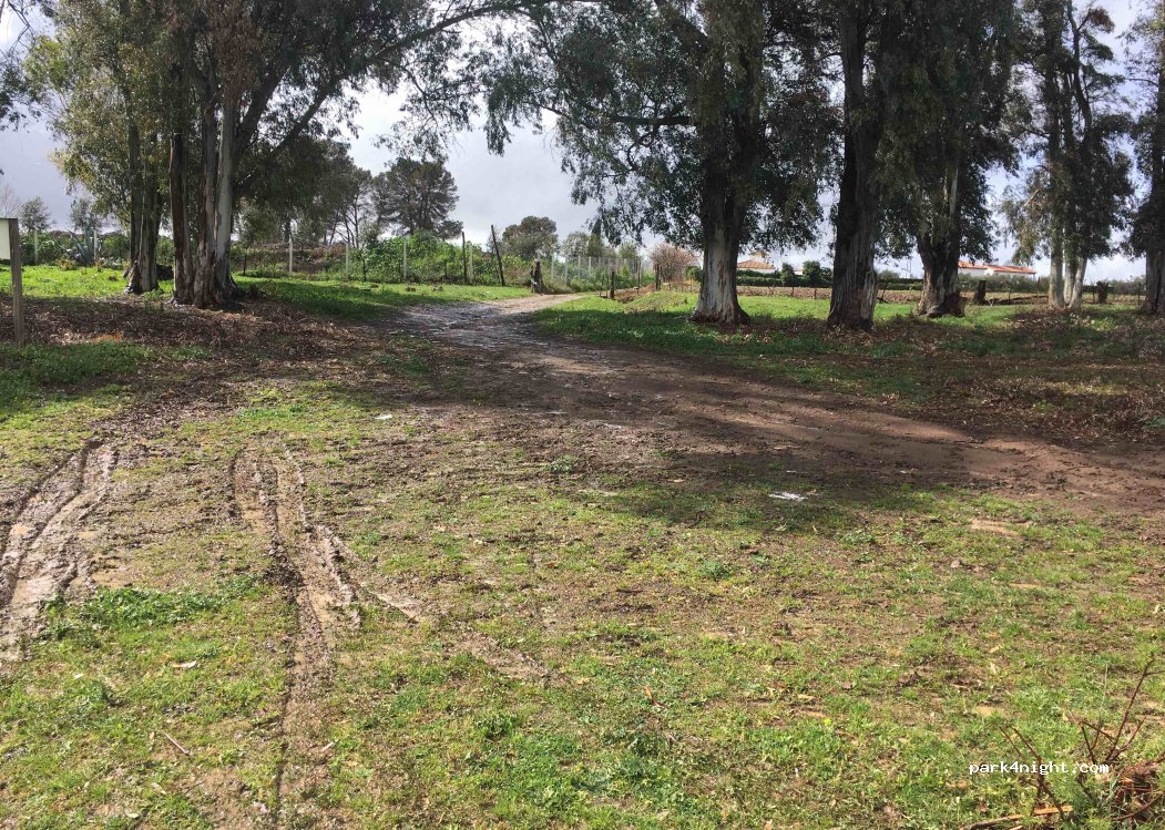 (11649) Coto de Bornos - Unnamed road — foto 4