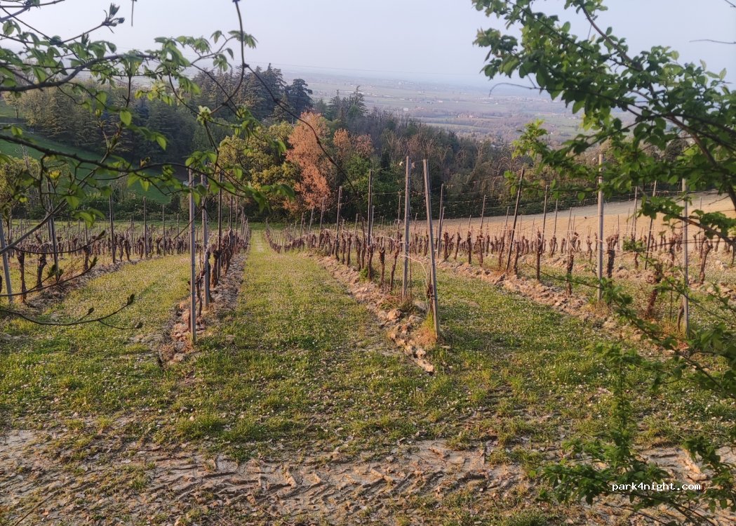 (43029) Traversetolo - — foto 2