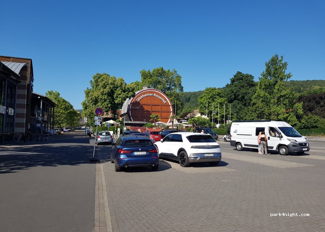 (67098) Bad Dürkheim - 503 Große Allee — foto
