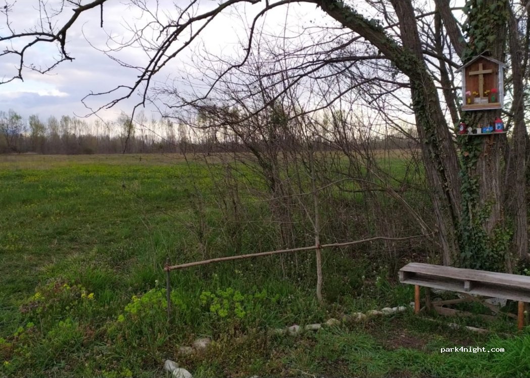(31052) Salettuol - 47 Via Spartaco Lantini — foto 4