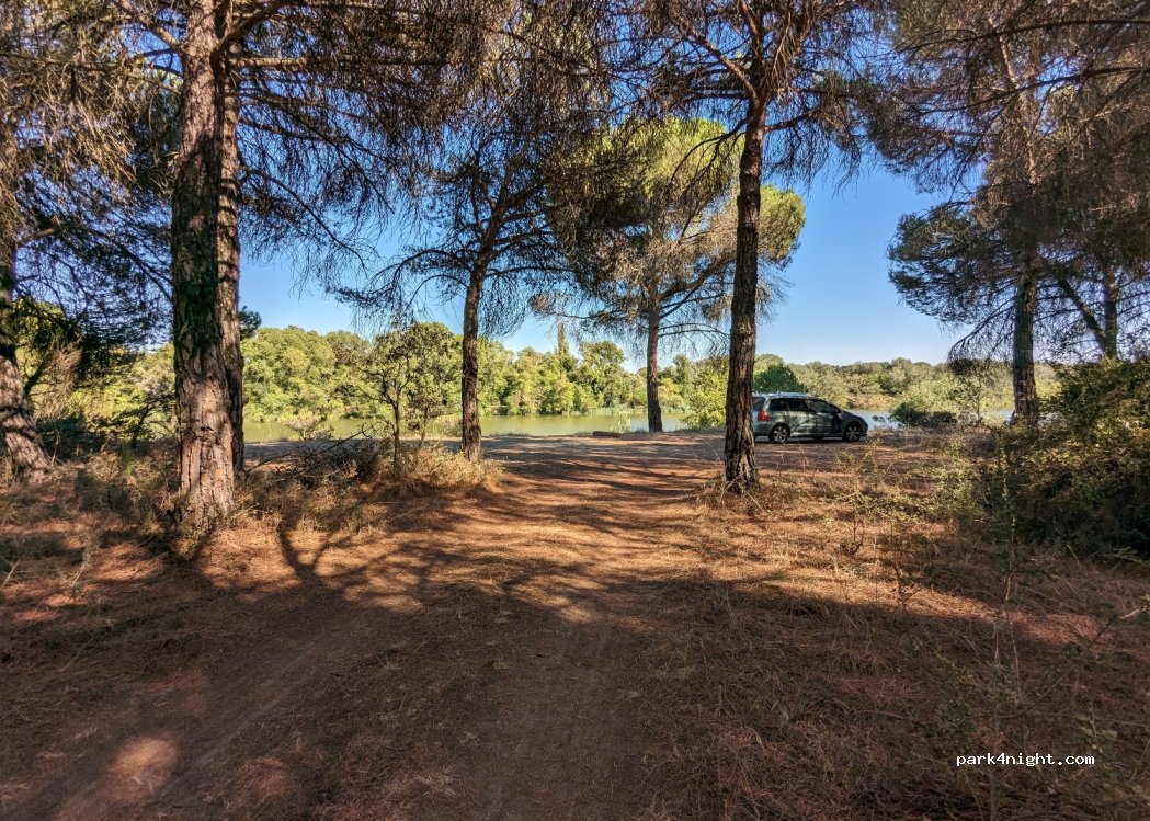 (47239) Villanueva de Duero - — foto 2