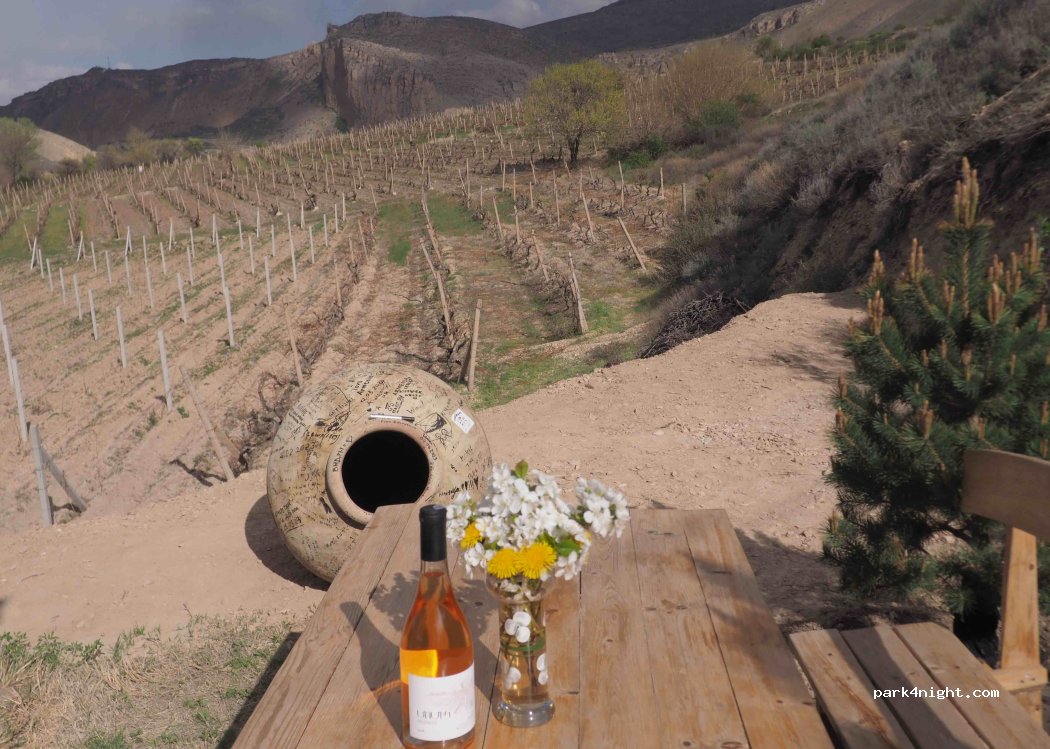 Momik WineCube — foto