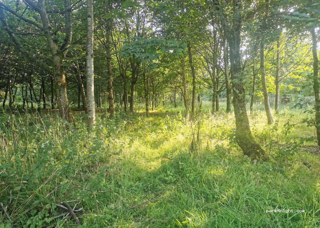 (FK14 7PL) Dollar - Upper Hillfoot Road — foto