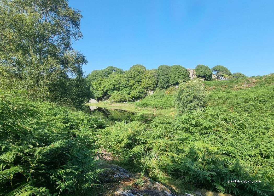 Dinas Caravan Park and Camping — foto
