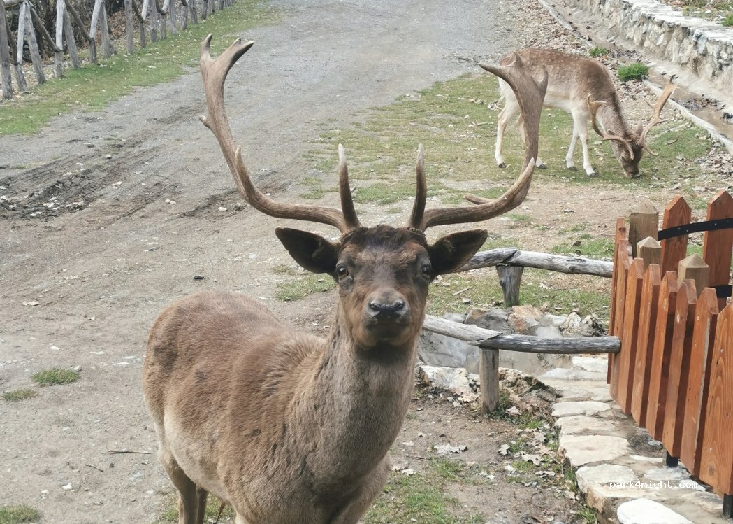 (501 00) Kazanis - Unnamed Road — foto