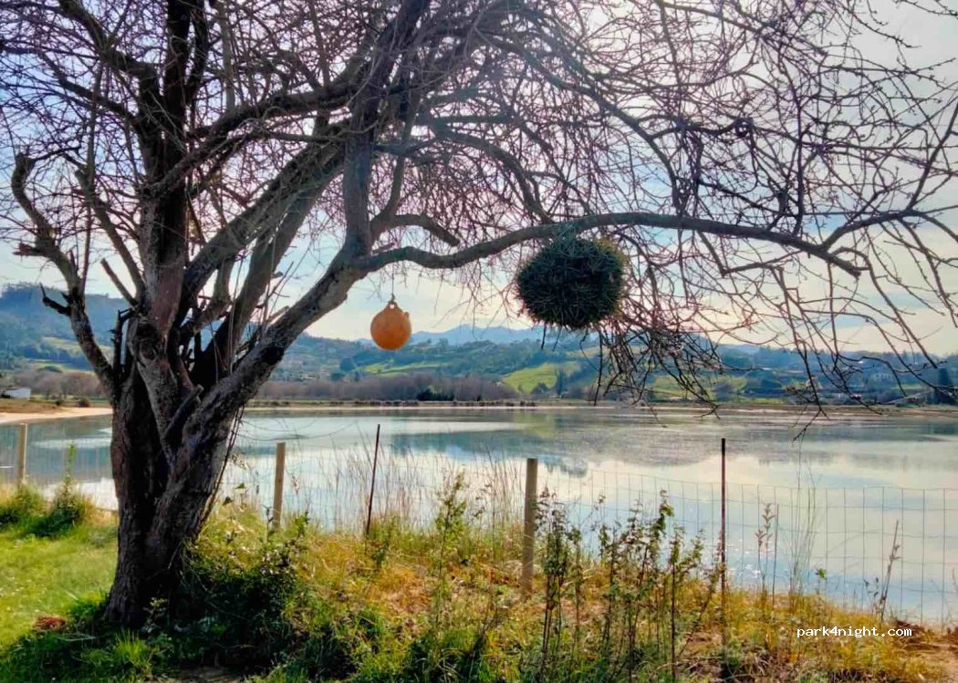 Camping Fin de Siglo — foto 2