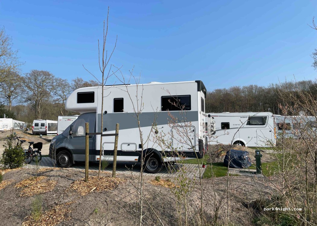 Kampeerterrein Woud Texel | 'T Woutershok — foto