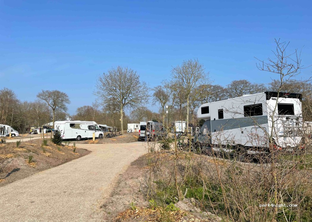 Kampeerterrein Woud Texel | 'T Woutershok — foto 2