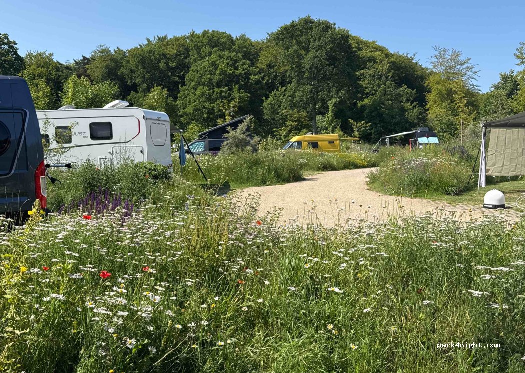 Kampeerterrein Woud Texel | 'T Woutershok — foto 5