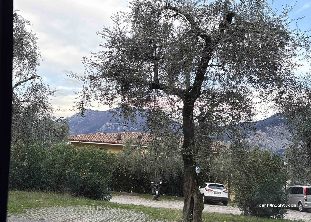 (37010) Brenzone sul Garda - 4 Via degli Ivani — foto 5
