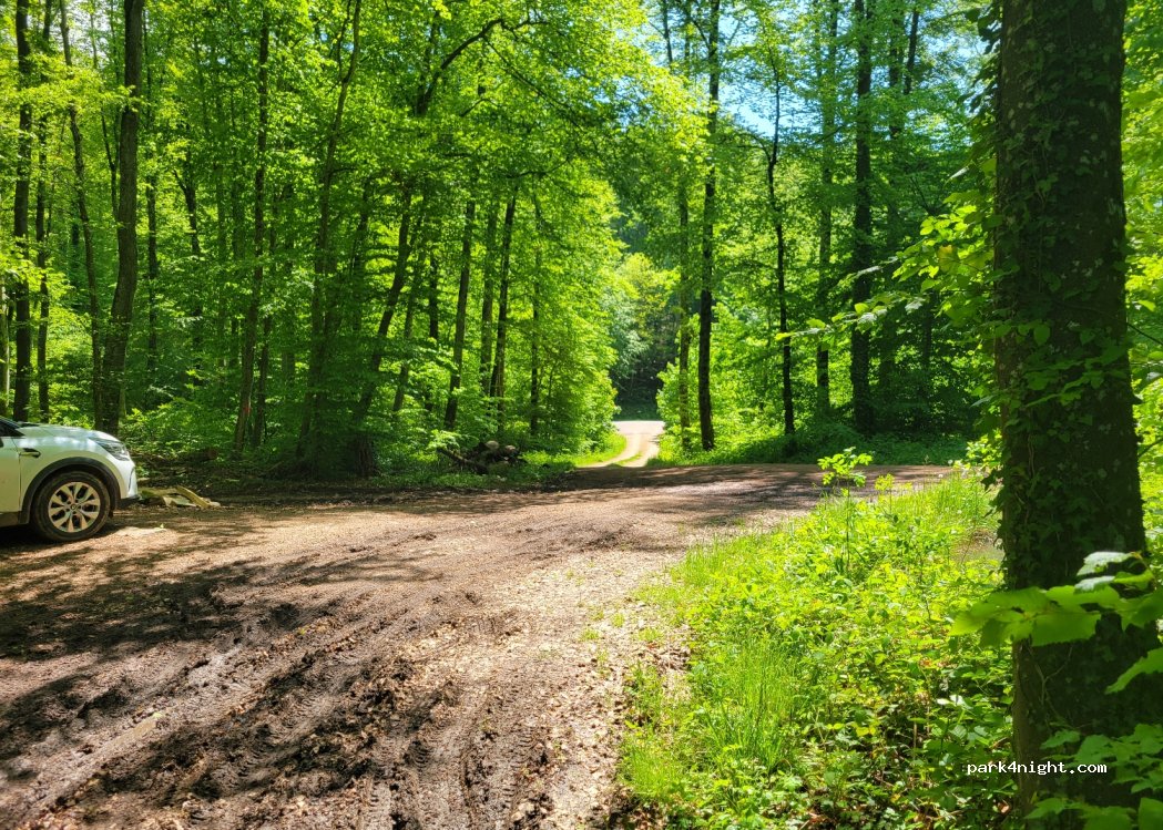 (79418) Schliengen - — foto 4