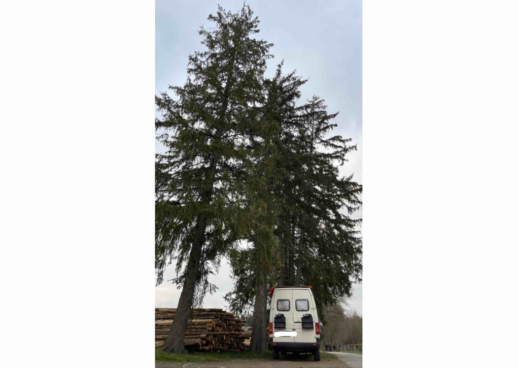 (95152) Selbitz - 23 Wildenberg — foto