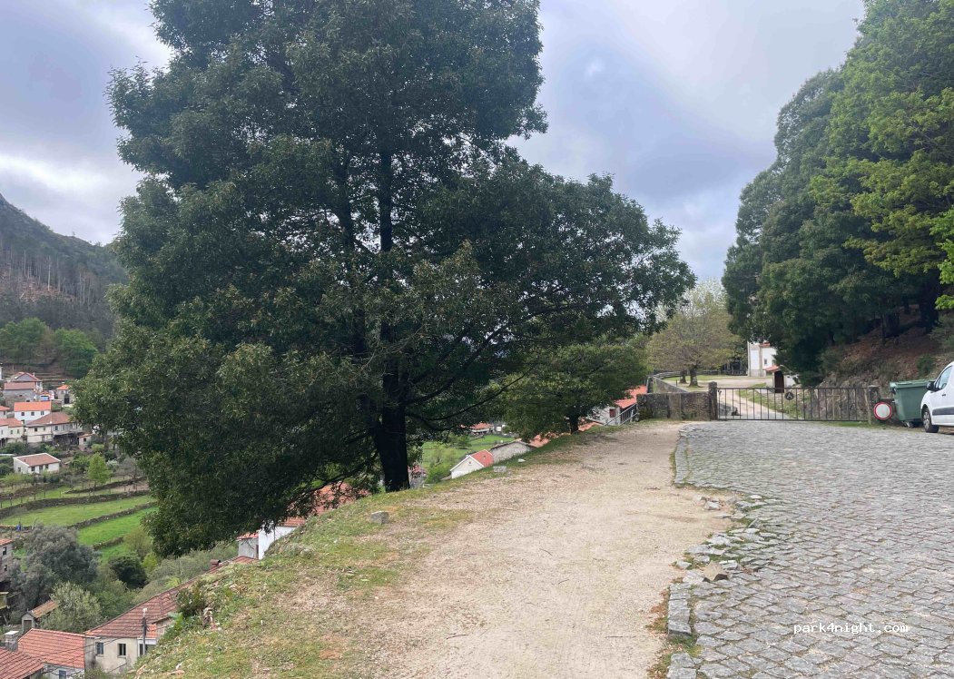(4970-150) Gavieira - 233 En 202 — foto