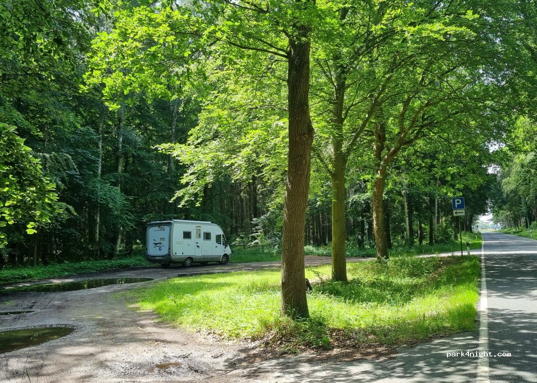 (18375) Prerow - Mittelgrund — foto
