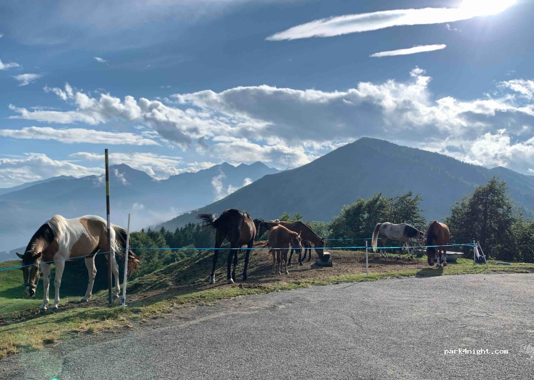 (13844) Callabiana - 1 Strada Statale 232 — foto 4