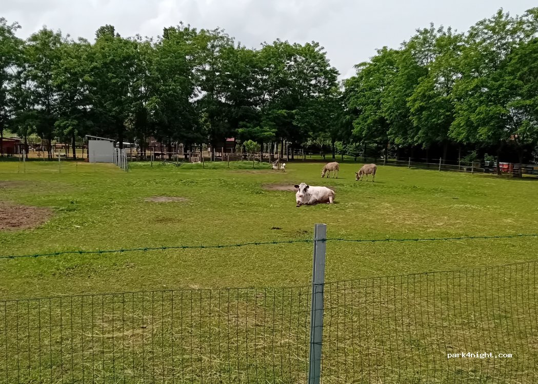 Agricamp — foto 4