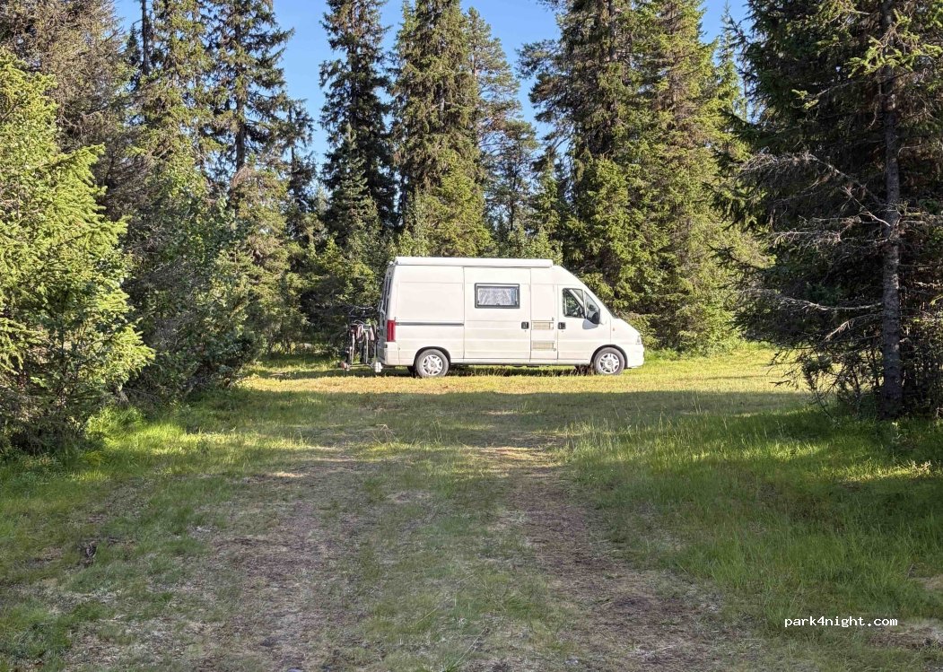 Northern Lights Cabins — foto 3