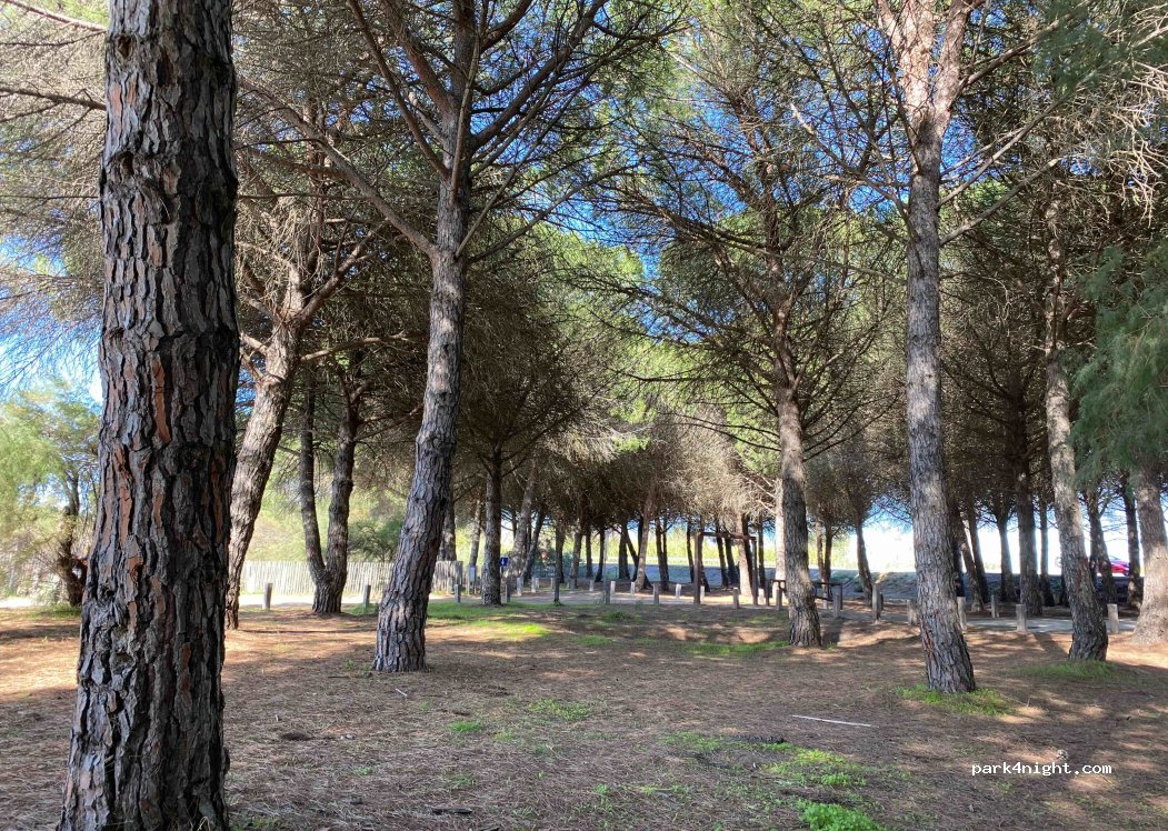 (30220) Aigues-Mortes - Petit Chaumont — foto 5