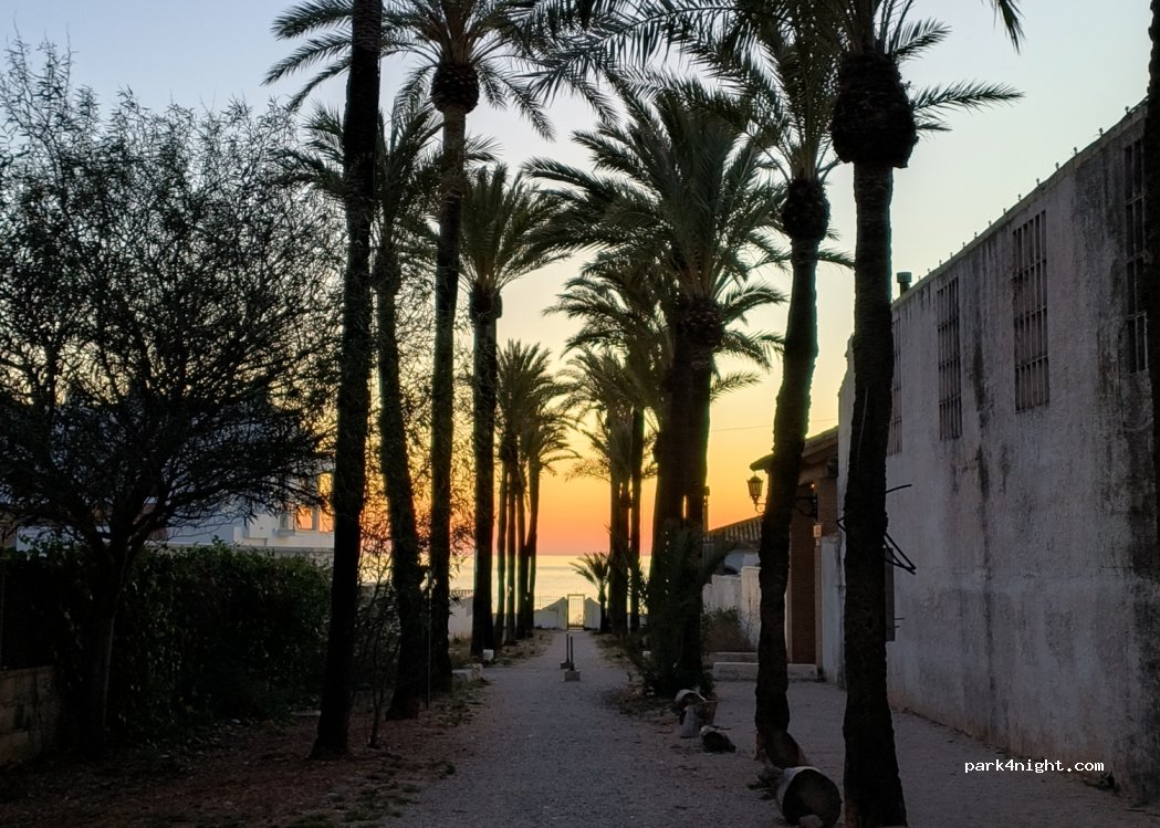 Camping Los Pinos — foto 3