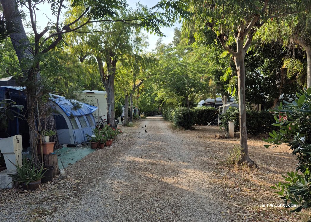 Camping Los Pinos — foto 4