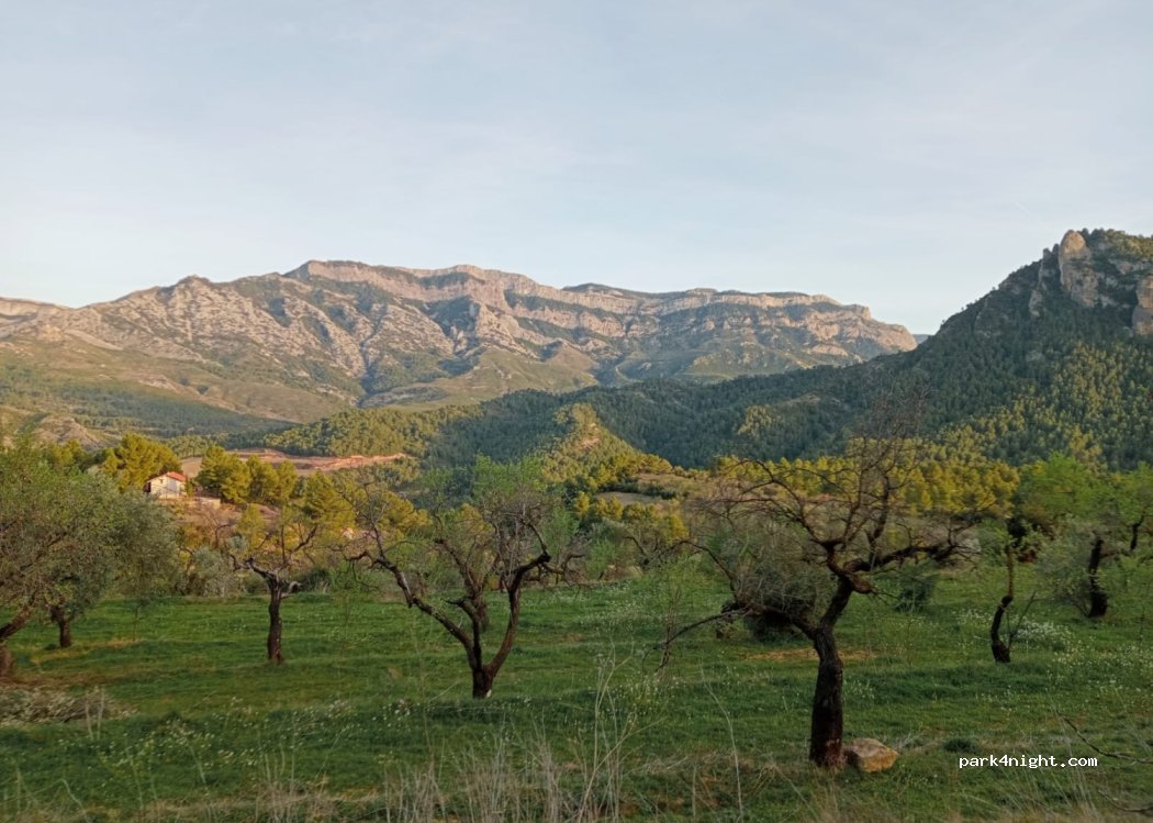 Hippyatrico — foto
