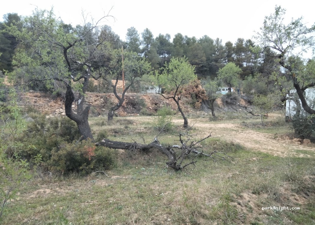 Hippyatrico — foto 2