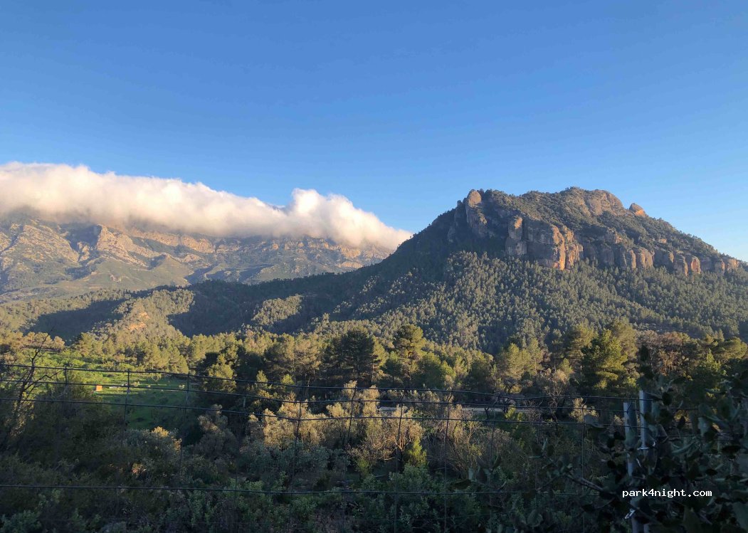 Hippyatrico — foto 4