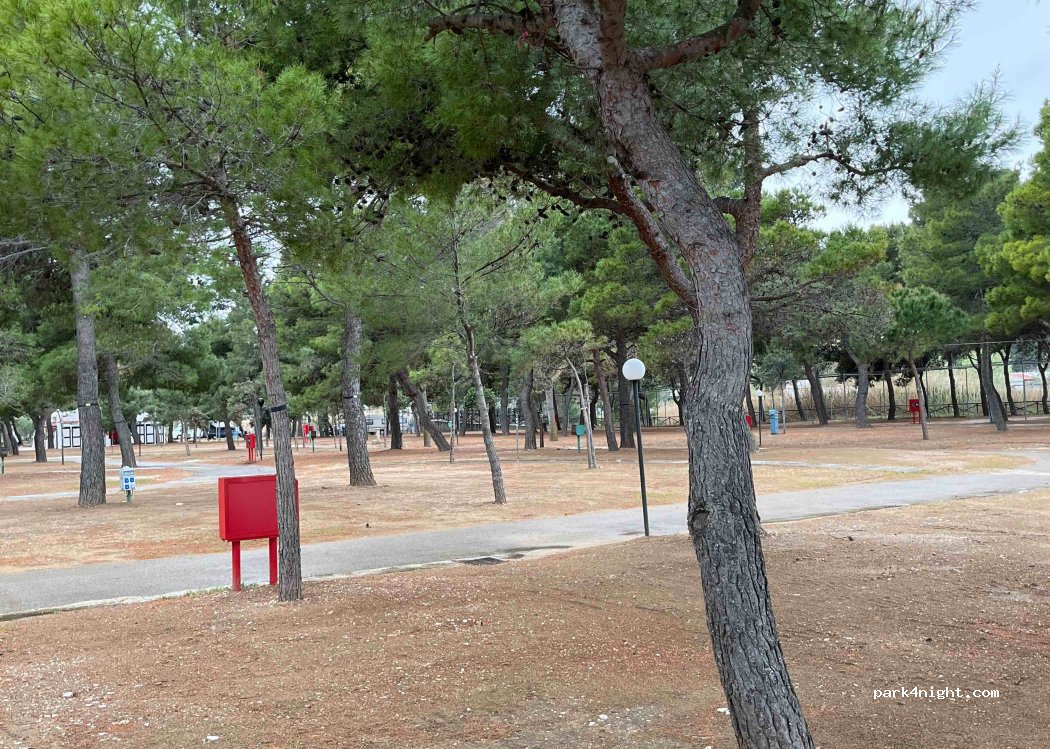 Camping Scialmarino S.N.C — foto 2