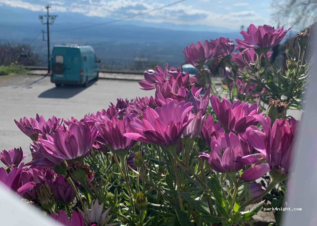 (231 00) Pikoulianika - Unnamed Road — foto 2