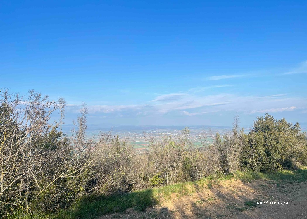 (545 00) Migdonia - Unnamed Road — foto
