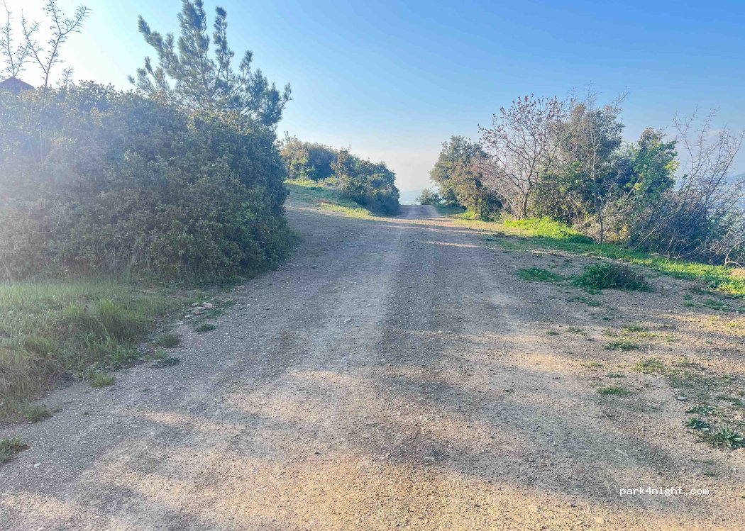 (545 00) Migdonia - Unnamed Road — foto 2