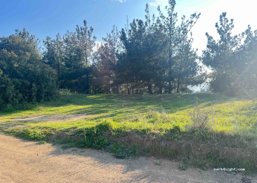 (545 00) Migdonia - Unnamed Road — foto 3